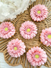 Formation fleurs Nice